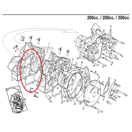 CENTRAL CRANKCASE GASKET 05-11