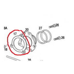 GUARNIZIONE SCARICO EC 200-250-300