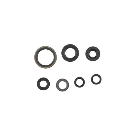 ENGINE SEAL KIT TXT 250-270-280 99-02