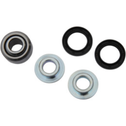 INFERIOR SHOCK BEARING KIT RR 05-19