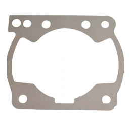 CYLINDER GASKET 200-250-300 [0,1]