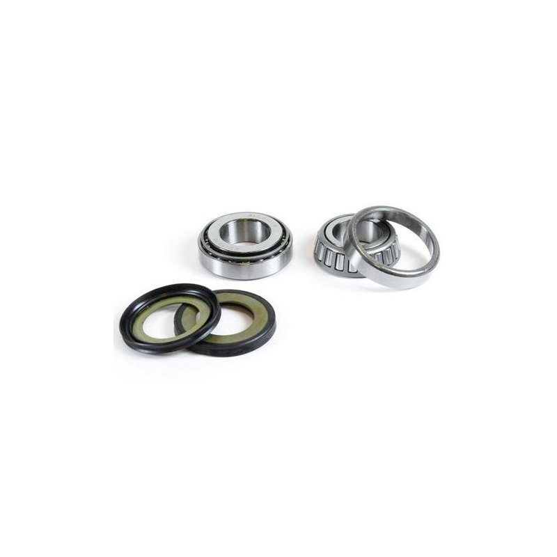 DIRECTION BEARINGS KIT 06-20