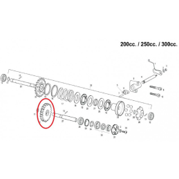 WATER PUMP PINION EC 250-300 2T