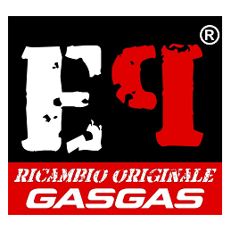 FORCELLONE GAS GAS 93